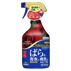 }C[Y xjJXt@CXv[ 950ml EEۍ ZFw|