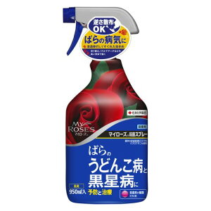 }C[Y EۃXv[ 950ml Eۍ ZFw|