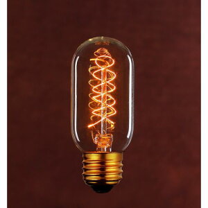 Be[Wv 110V40W T45 F5 E26 dF pd