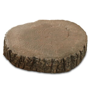 [ Xebv SS|30 SSx20 NXstyle(lNX^C)