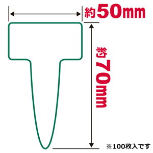 |px T^100 `E  ZteB|3