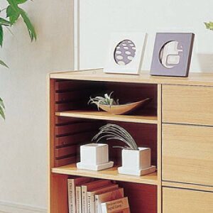 CB{bNXp[{[h CXR-38 uE 8Xs253X272mm ACXI[}