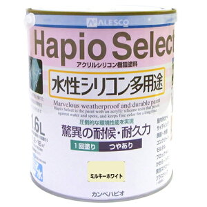 VRpr nsIZNg 1.6L ~L[zCg JynsI