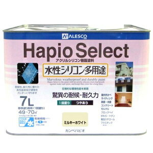 VRpr nsIZNg 7L ~L[zCg JynsI