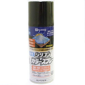 VRJ[Xv[ 300ml ubN JynsI