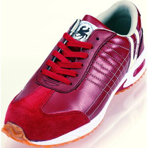 SXj[J[ #206 C 26.5cm C 26.5cm nCp[V