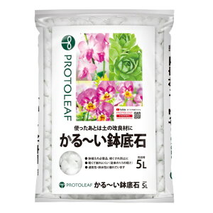 10%OFFN[| 420:00`523:59` 5L vg[t