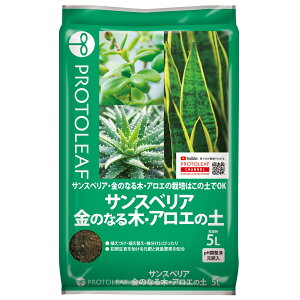 TXxAÊȂ؁EAG̓y 5L vg[t