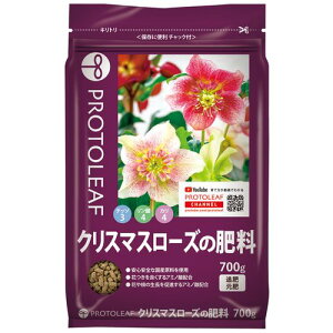 NX}X[Y̔엿 700g vg[t