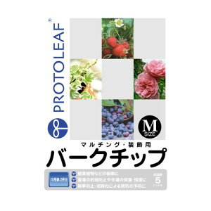 o[N`bv M 5L vg[t