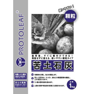 10%OFFN[| 420:00`523:59yΊD 1kg yΊD vg[t