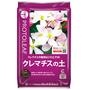 10%OFFN[| 420:00`523:59N}`X̓y 5L vg[t