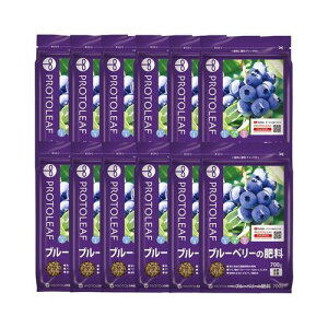 y܂Ƃߔz엿uu[x[̔엿v 700g×12 700g×12 vg[t K[fjO  c |{y py y | |py ƒ؉