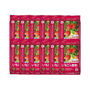 y܂Ƃߔz엿u̔엿v 700g×12 vg[t K[fjO  c |{y py y | |py ƒ؉