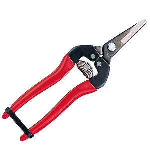 �E�����V���[�g�^�C�v 300S-BP �A���X