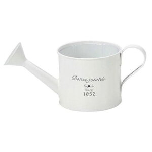 i`uL|bg 3146-A W[L O[nEX