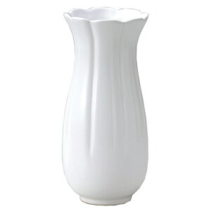 mN[t[x[X 006-B-W zCg TCYFM O[nEX