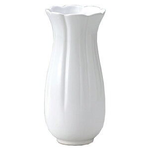 mN[t[x[X 006-C-W zCg TCYFS O[nEX