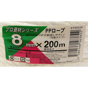 vރV[Y PP[v KT66220 ij {wH