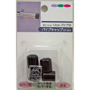 ۃpCvp pCvLbv 4 GT-501  [15×13mm aCY
