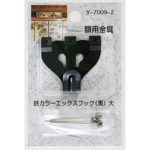 zp SJ[GbNXtbN Y7009-2   R쏊