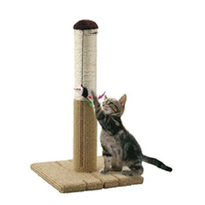 ǂłcƂ ^[SCT-265 }J