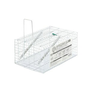 ˂ݕߊlJS p^  TAKAGI