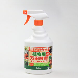 ApcyfXg[g^Cv 900cc W100×D85×H240mm cyf