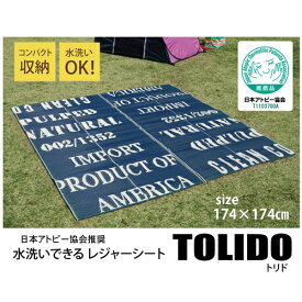 洗える PPラグ トリド アトピー協会推奨品 ラグ PPカーペット 日本製 約174×174cm 約174×174cm IKEHIKO