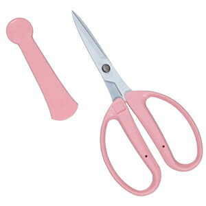 AW tbf CRI]360SFP sN `J}T