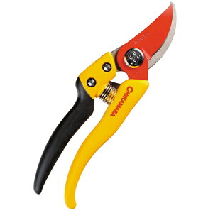 Egb\7 PS]7Y CG[ `J}T