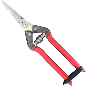 I[XeXn Ȑn T-55SR `J}T