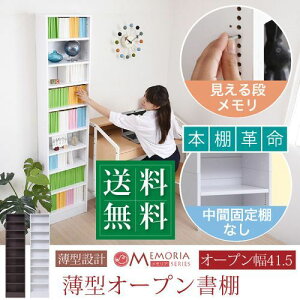 MEMORIA I[v {I 41.5cm FRM-0100 zCg {̂̂ 41.5cm JKv