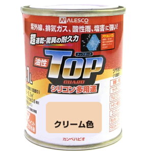  VRpr gbvK[h 0.1L N[F JynsI