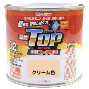  VRpr gbvK[h 0.2L N[F JynsI