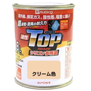  VRpr gbvK[h 0.8L N[F JynsI