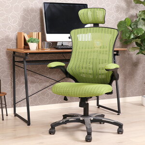 A[Abv`FA[ }X^[III 85181 O[ sf