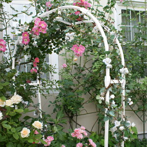 t[A[` 120cm^Cv  120×31×225cm DAIM