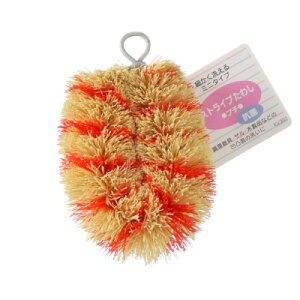 10%OFFN[| 420:00`523:59ACZ XgCv킵 R v` ACZ