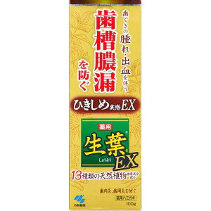 ptEX 100g n[u~g ^R\h ѐ