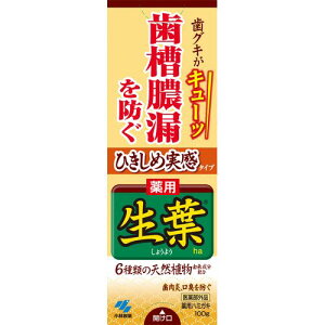 Ђߐt 400g ߎ̃n[u~g ѐ