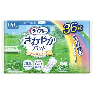 Ct[ ₩pbh 36 łSp 120cc jE`[