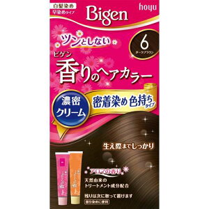 �r�Q�� ����̃w�A�J���[�N���[�� 6 �_�[�N�u���E�� 40g+40g Bigen