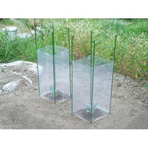 cK[hZbg 5g  x75cm nӑ