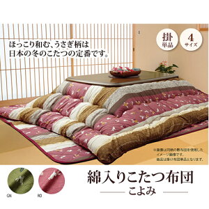 zc | Pi  a ETM O[ ` 205×315cm O[ ` 205×315cm IKEHIKO ӂ s[`XLn Y { a_  􂦂 