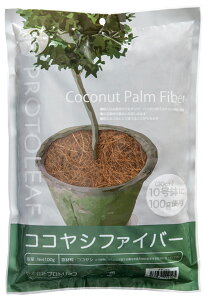 RRVt@Co[ i` 100g vg[t