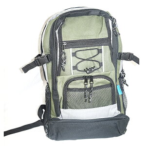 fCpbN 41005 J[L [mrA