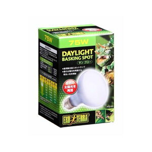 TO[oXLOX|bgv PT2132 75W GL]e