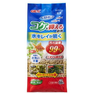 xXgTh RP}鍻 0.6L xXgTh