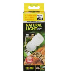 i`Cg PT2191 26W GL]e